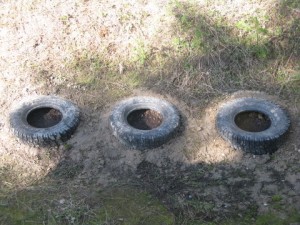 Three little carrot patches 