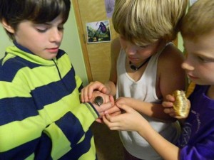 The Boys With A Little Bird That Was Caught In The Chicken Coop