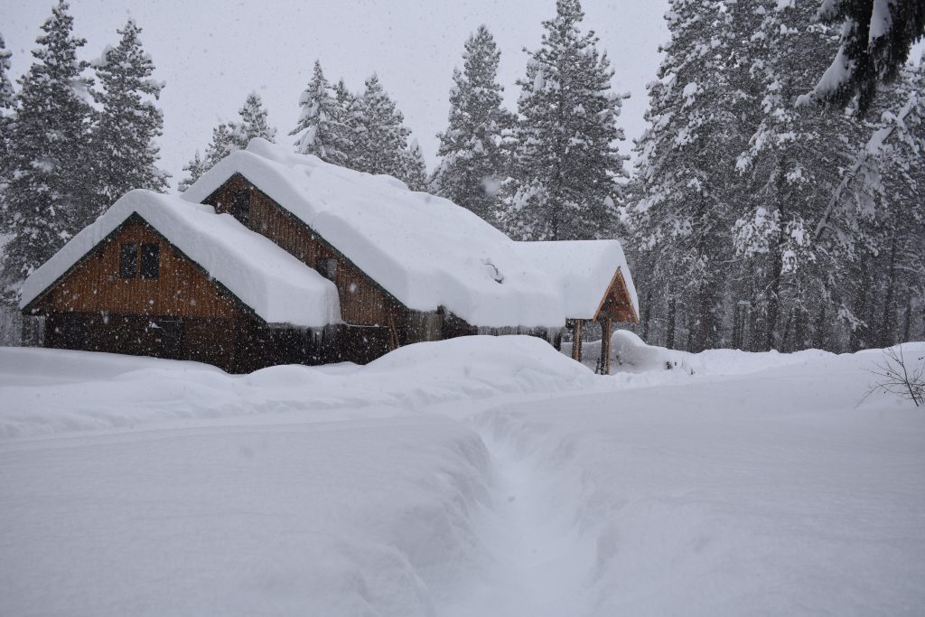 It was at this point that our water turned to a sad trickle from the faucets. There was a broken pipe, somewhere under all that snow.